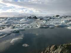 Jökulsárlón - Glacier Lagoon 6