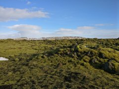 Eldhraun Moss Lava Field 1