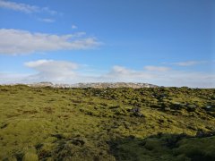 Eldhraun Moss Lava Field 5