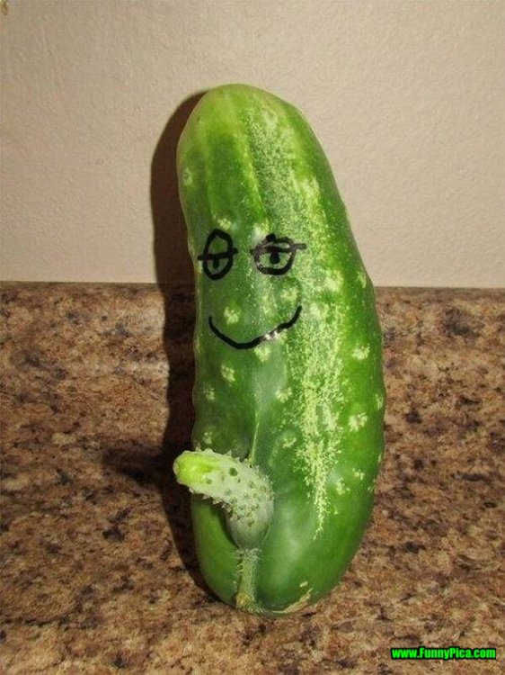 cucumber2.thumb.jpg.c8088f719a4adfb04ec79119b8187df2.jpg