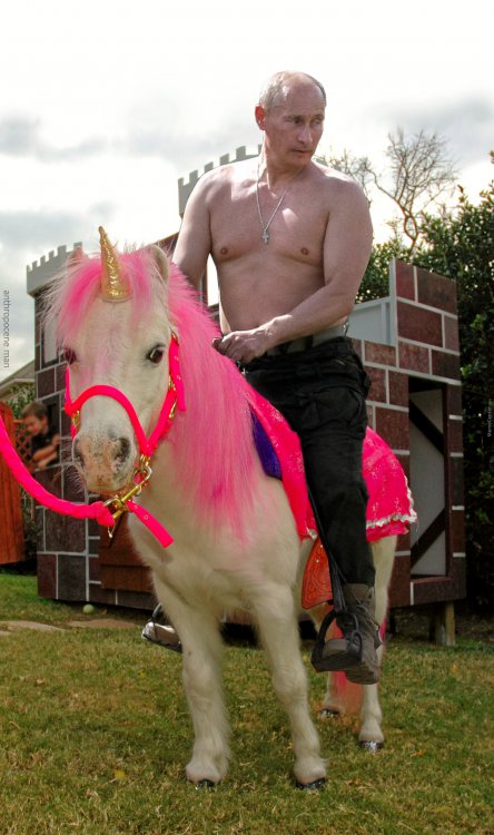 putin-riding-unicorn_o_6688343.thumb.jpg.0f0cadfec41886222f66e33b79174ed4.jpg