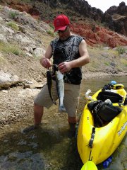 Kayak fishing Lake Mead
