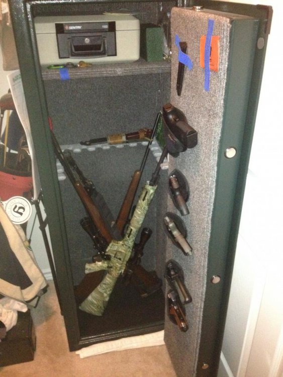 gorilla project gun case.jpg