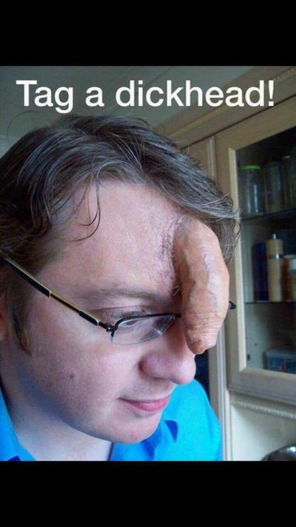 dickhead.thumb.jpg.6d00795ba2ef3091e45915d6488705bc.jpg