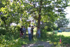 100_4225.jpg