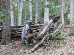 IMG_1037.JPG