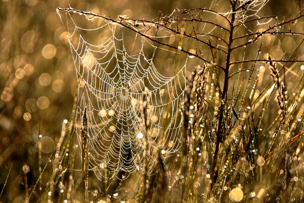 May 13 2017_MG_3987.jpg