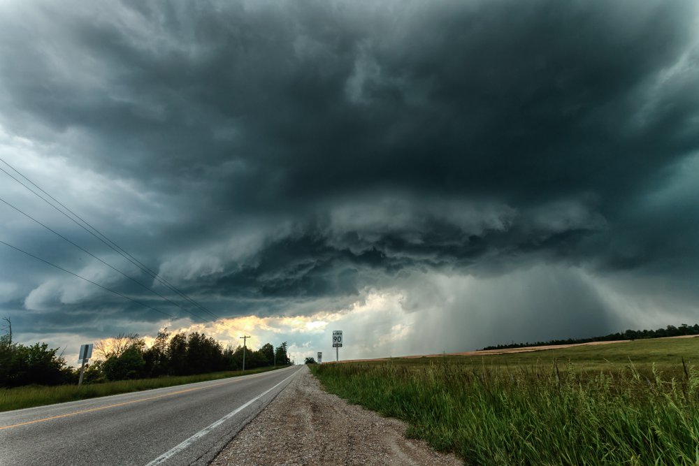 June 4 2017_MG_5551.jpg