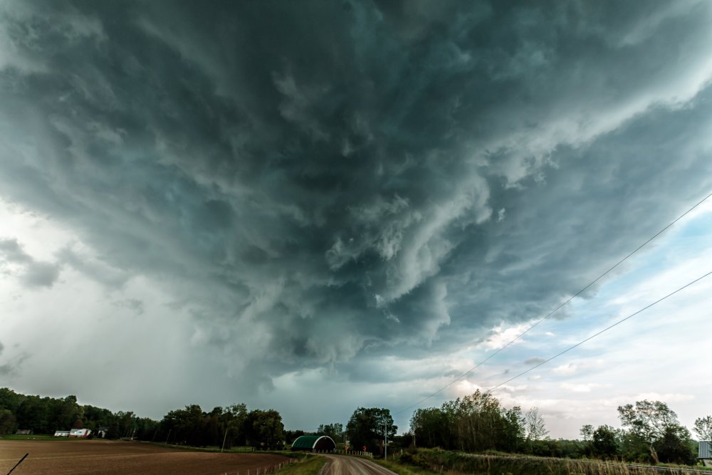 Jume 4 2017_MG_5594.jpg