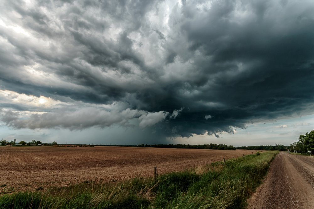 June 4 2017_MG_5658.jpg