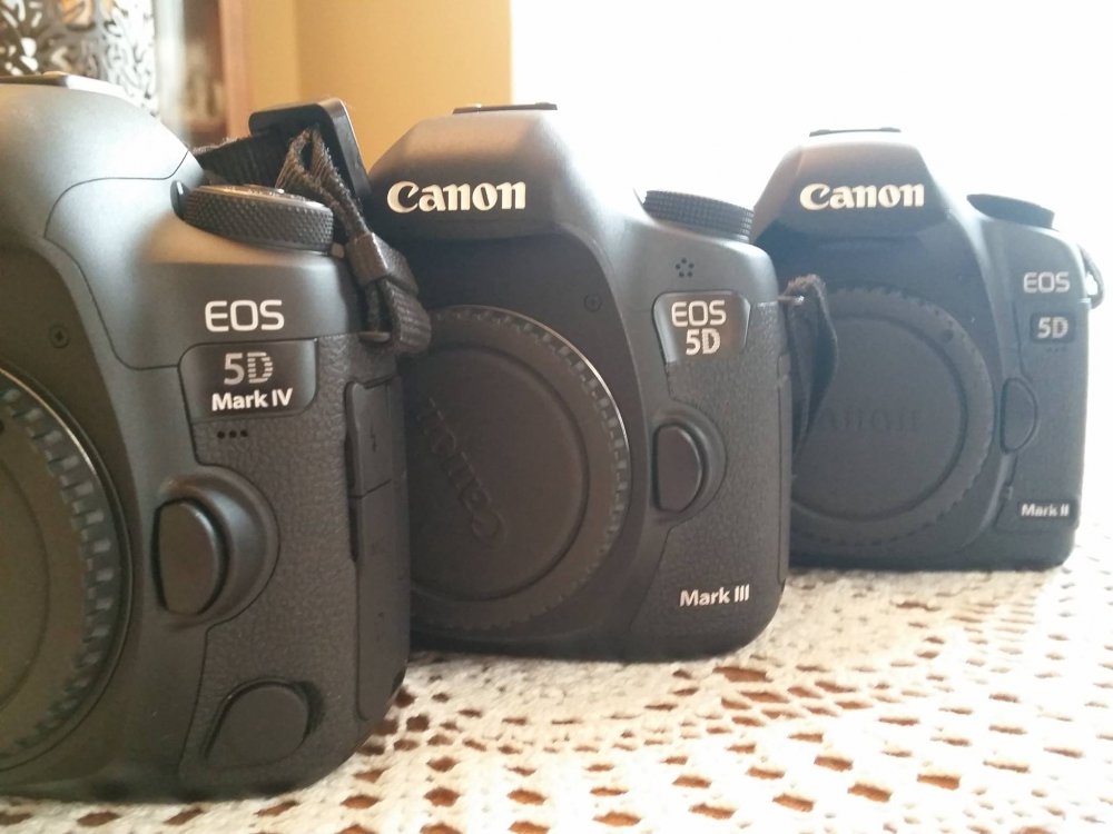 Canon 5D family.jpg