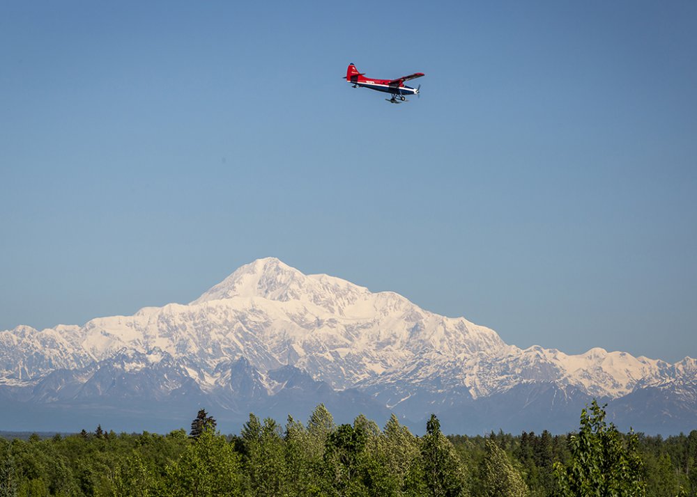 Denali from Talkeetna Pullout.jpg