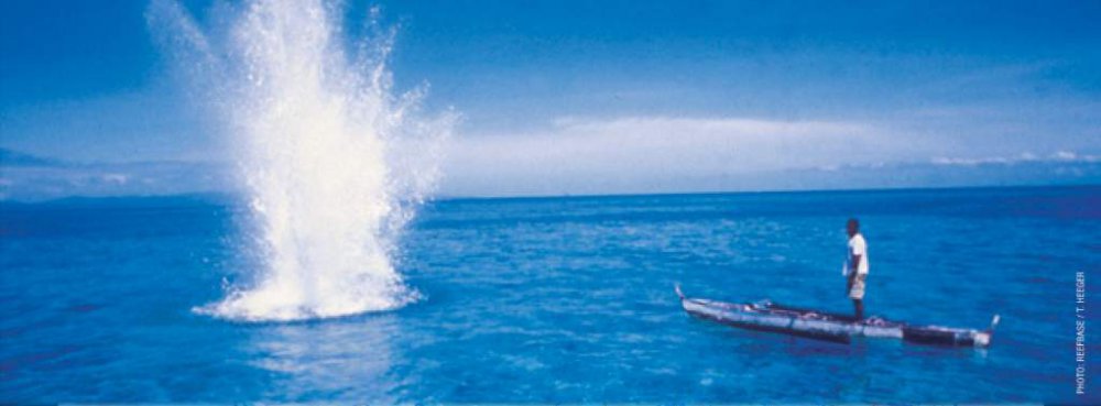 dynamite fishing.jpg