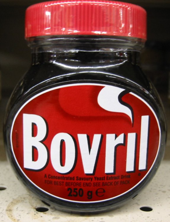Bovril_250g.thumb.jpg.b7ba50101738d464837e69549b548f6a.jpg