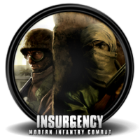 Insurgency