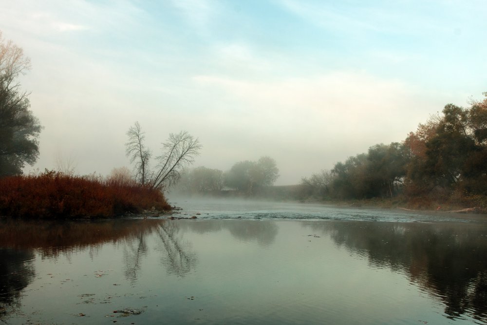 Oct 22, 2017 Delaware_MG_2260.jpg