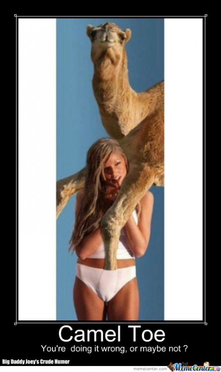 camel-toe_o_1683127.jpg