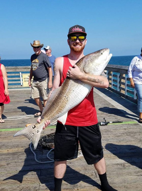 Citation Red Drum.jpg