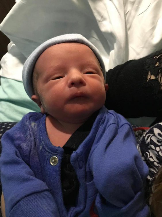 17e685a4-6ca1-430c-b733-14e5e6158734 (1).JPG