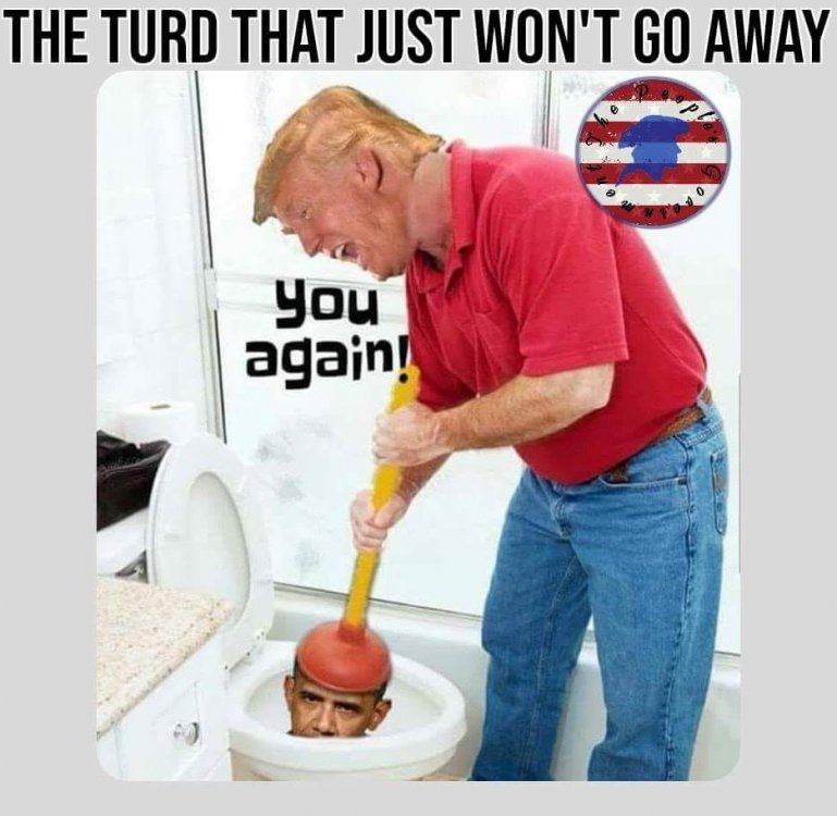 tRUMP FLUSHING OBAMA.jpg