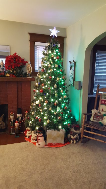 spin's tree 2018.jpg