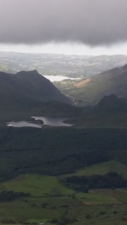 View from halfway up.jpg