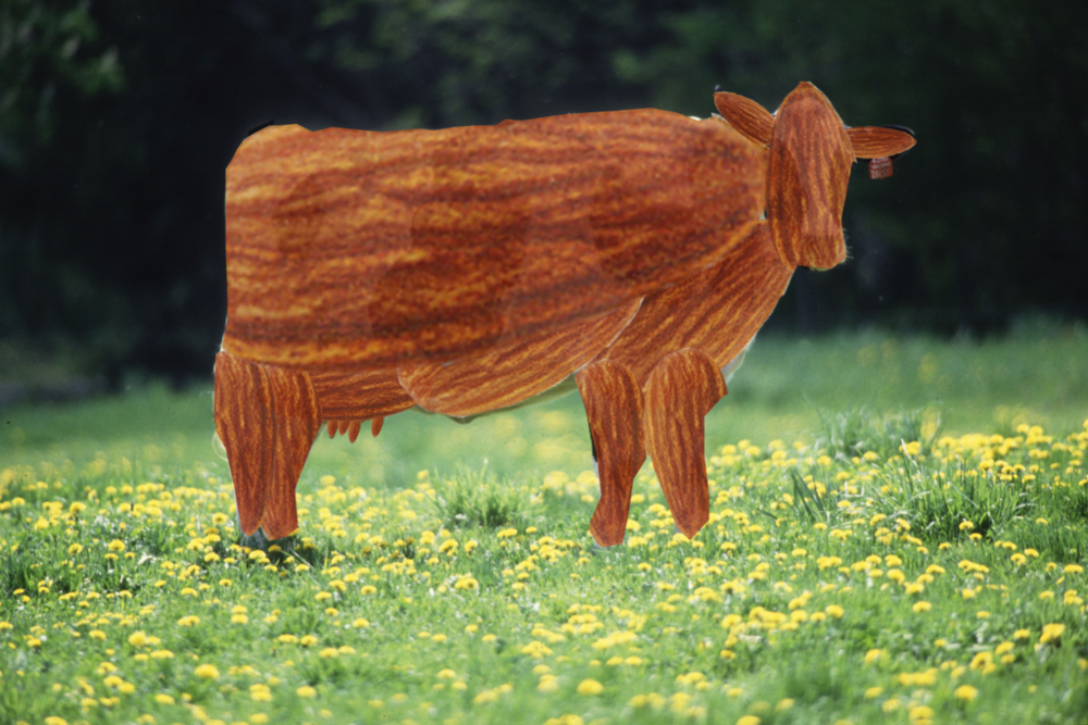 almond_cow_by_redlocksthebest-d88m7eu.png
