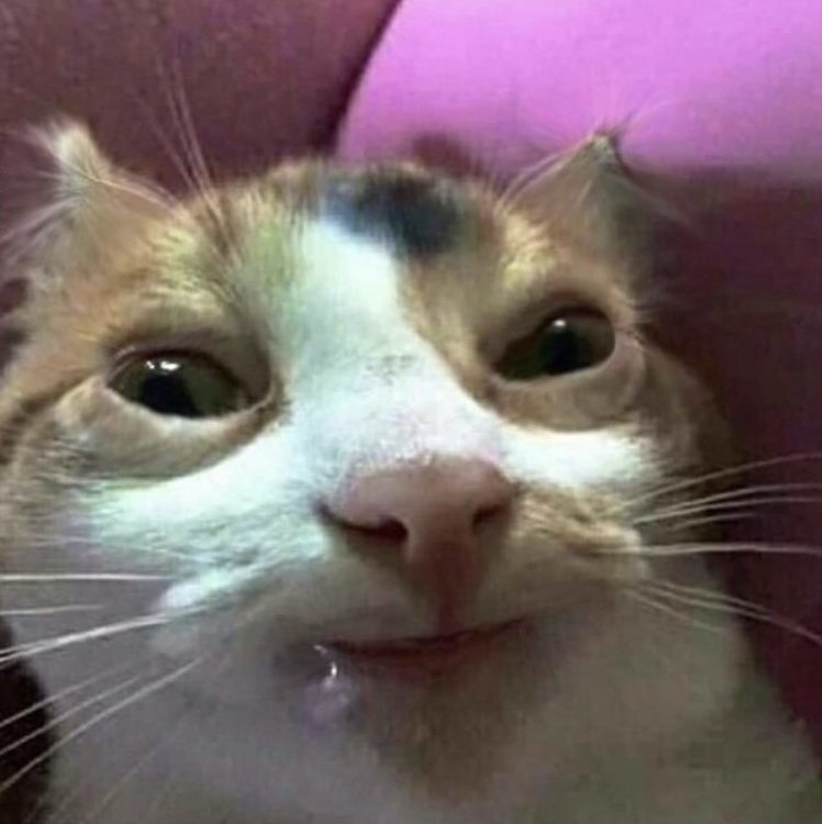 YOU imbecile, you fucking fool!.jpg