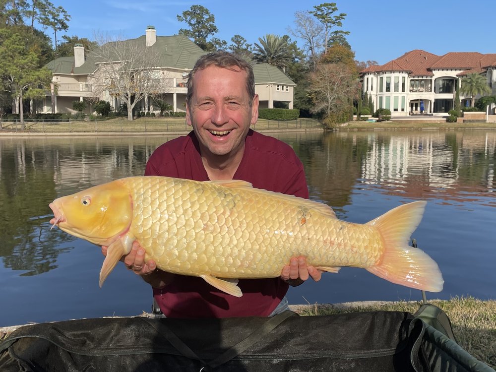 27.75lb Koi Carp - 4_cr.jpg