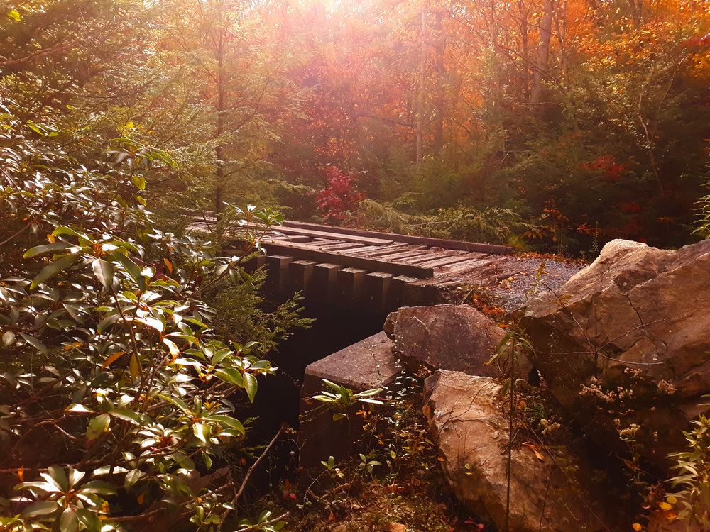 propps ridge waterfall.jpg