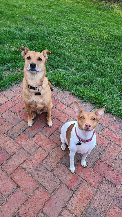 277739189_5347644648579518_8556870952927081745_n (1).jpg