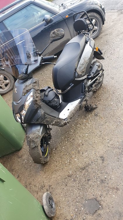 Afbeelding van WhatsApp op 2022-12-06 om 16.17.40.jpg