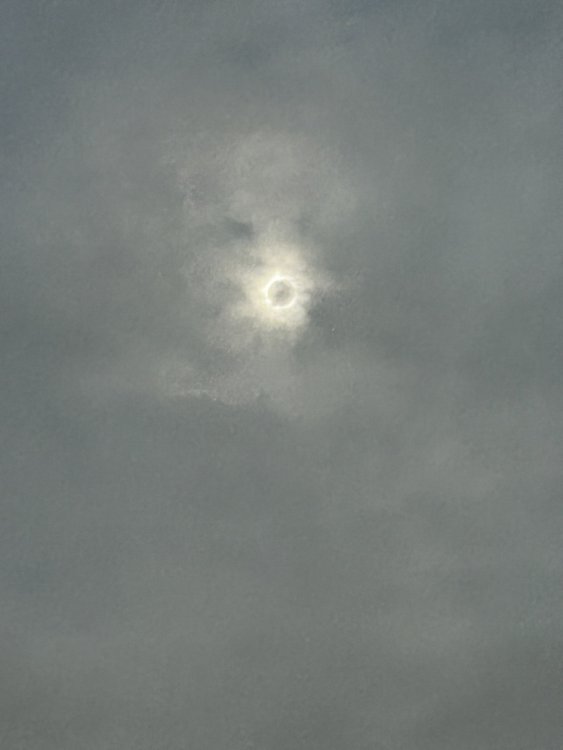 IMG_6738totality 2024.jpeg