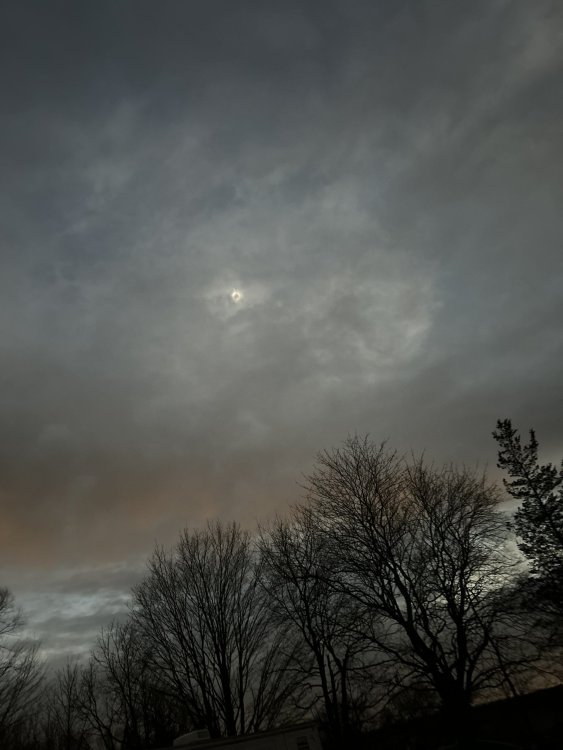 IMG_6744end 2024.jpeg